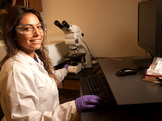 Laboratory worker using a desktop computer next to a microscope.